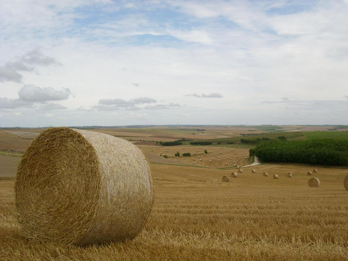Gite Rural Le Bois Roger Widehem Экстерьер фото